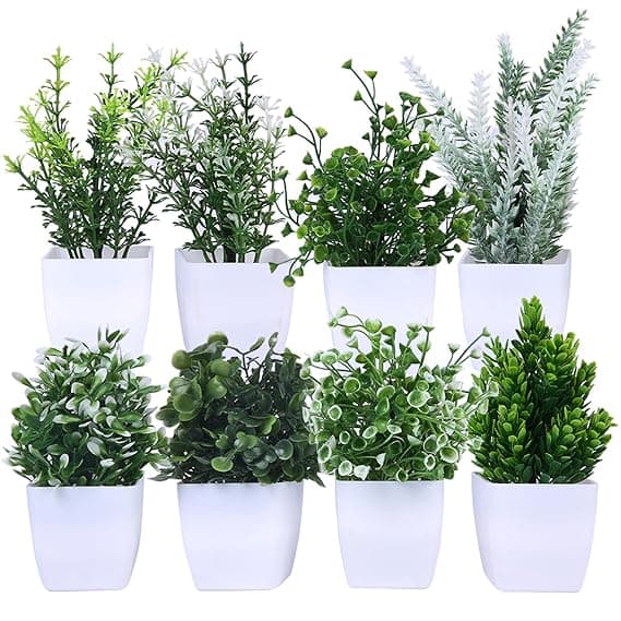 amazon basics Artificial Plants with Pot| Multi Variety | Durable Plastic | No Maintenance | Home Decor | Dimensions: 5 cm X 13 cm (Pack of 8)